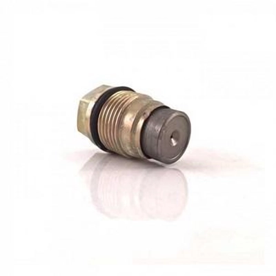 Pressure Relief Valve by BOSCH - 0281006019 gen/BOSCH/Pressure Relief Valve/Pressure Relief Valve_01